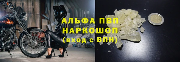 Альфа ПВП Няндома