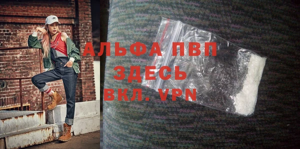 Альфа ПВП Няндома