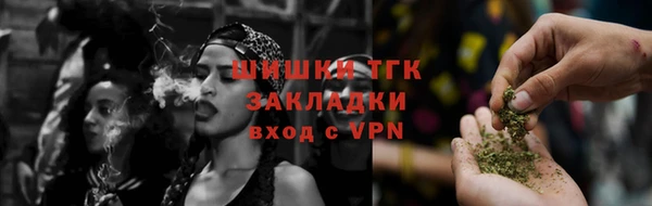 Альфа ПВП Няндома